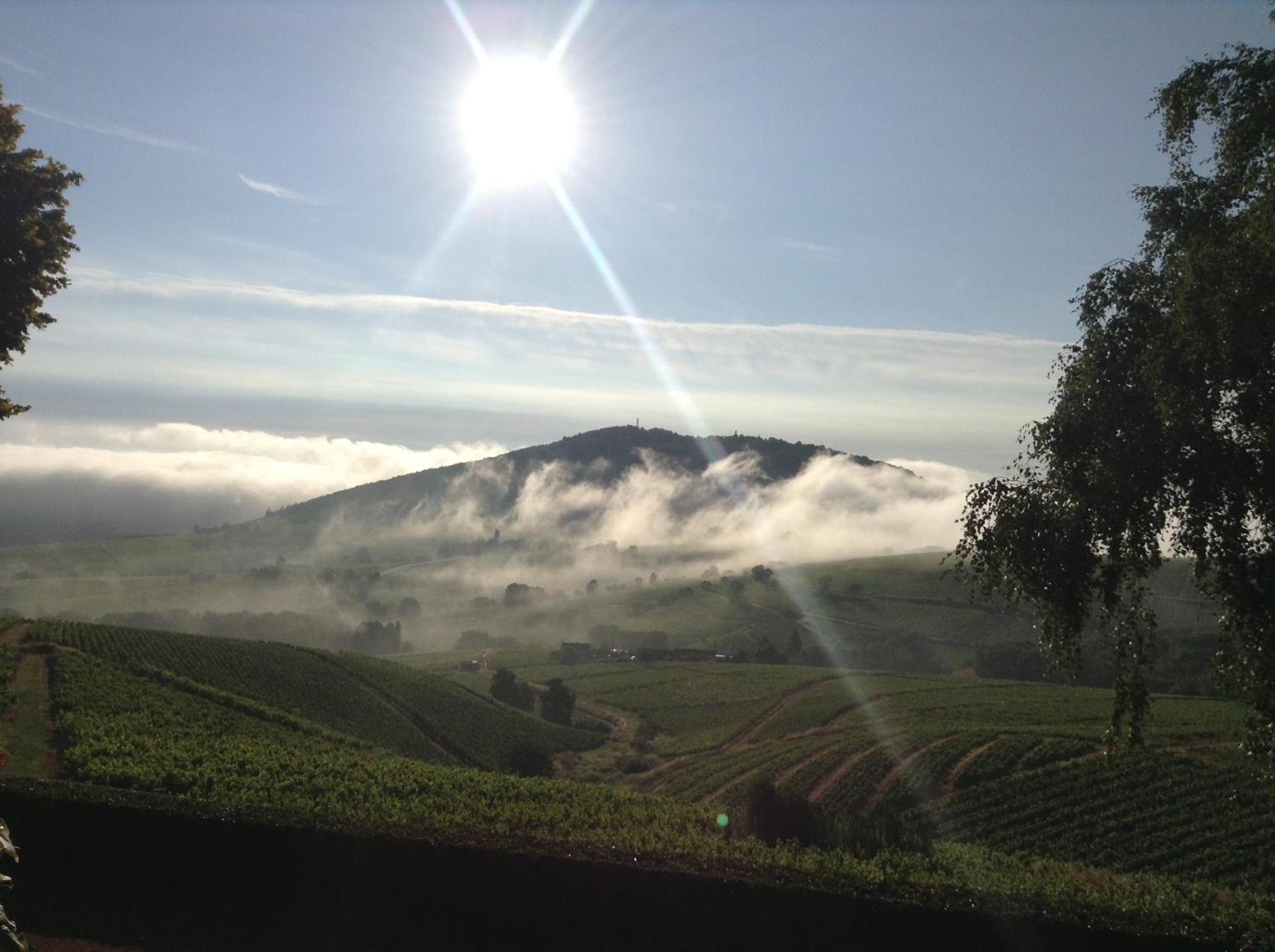 La Croix De Saburin Bed & Breakfast Quincié-en-Beaujolais Eksteriør bilde
