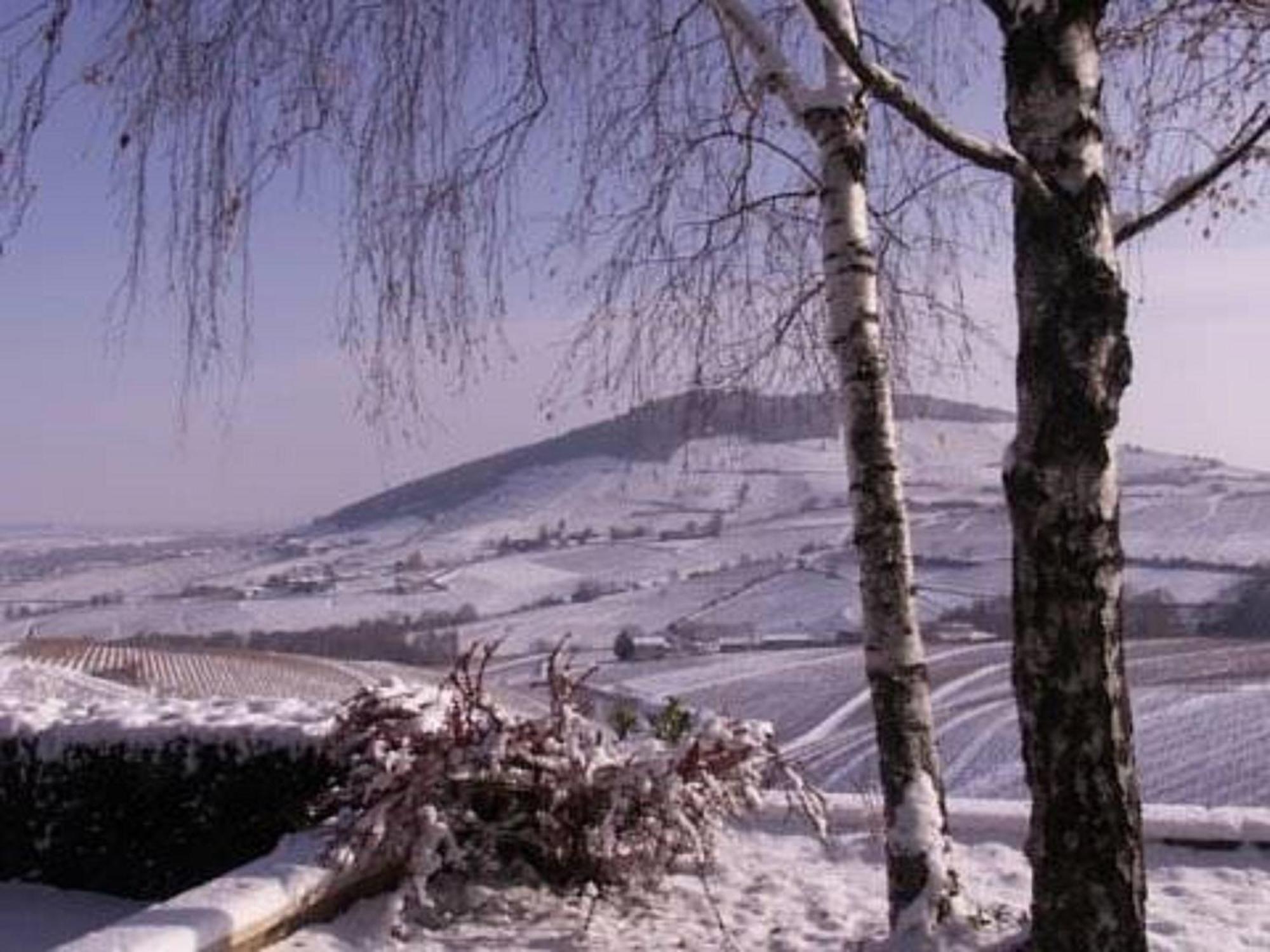 La Croix De Saburin Bed & Breakfast Quincié-en-Beaujolais Eksteriør bilde