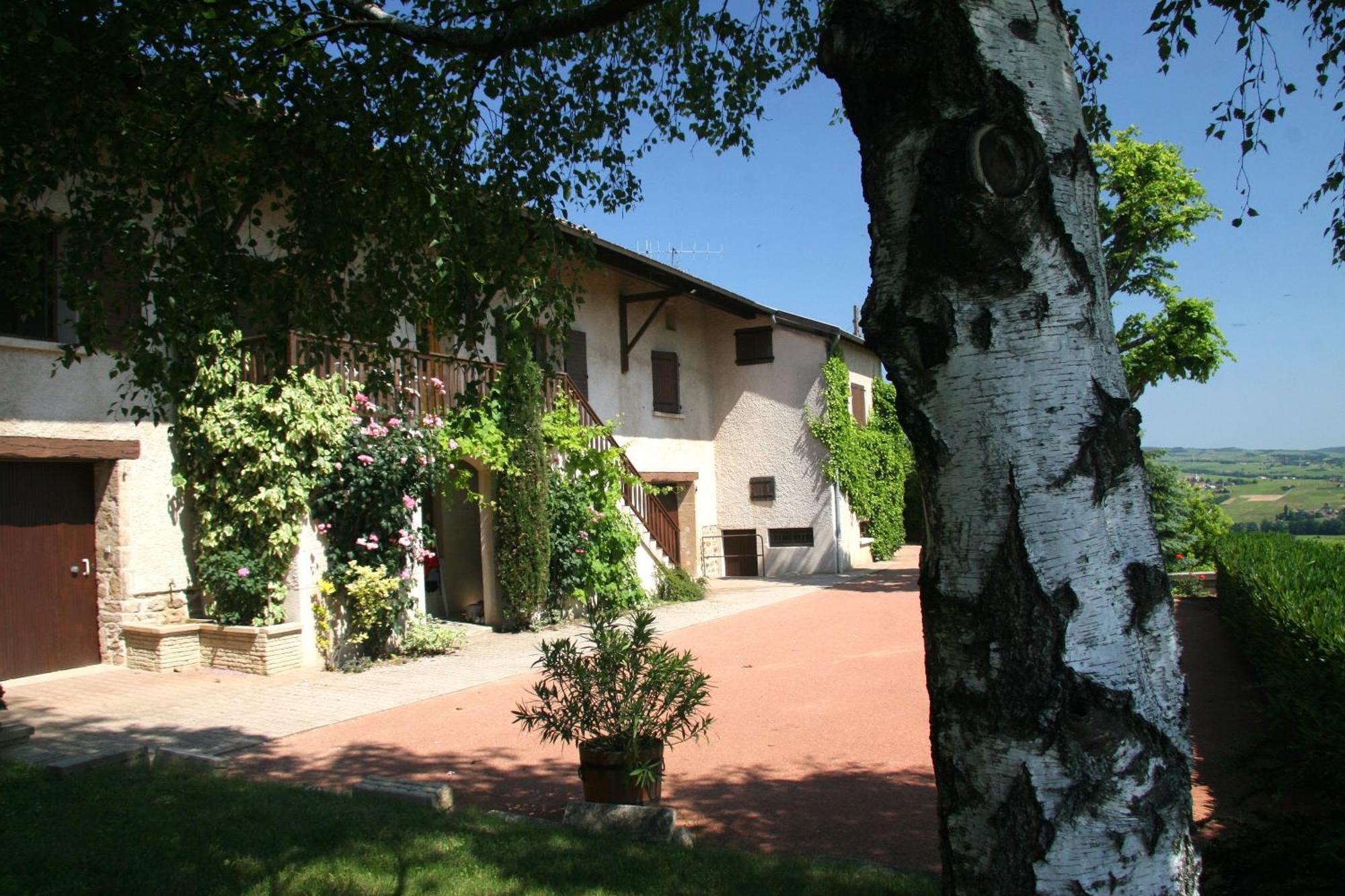 La Croix De Saburin Bed & Breakfast Quincié-en-Beaujolais Eksteriør bilde
